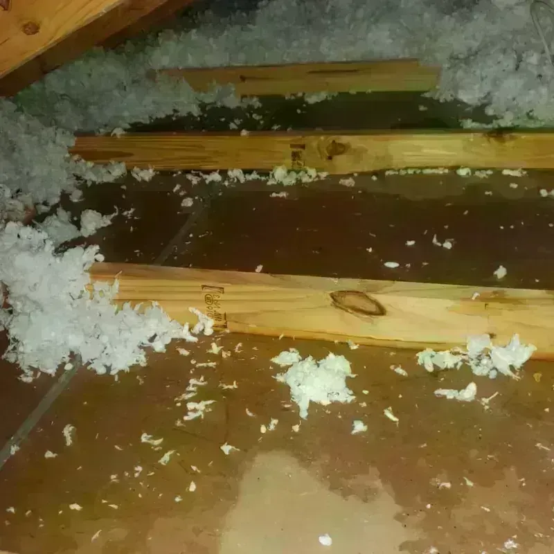 Attic Water Damage in Fairhaven, MA